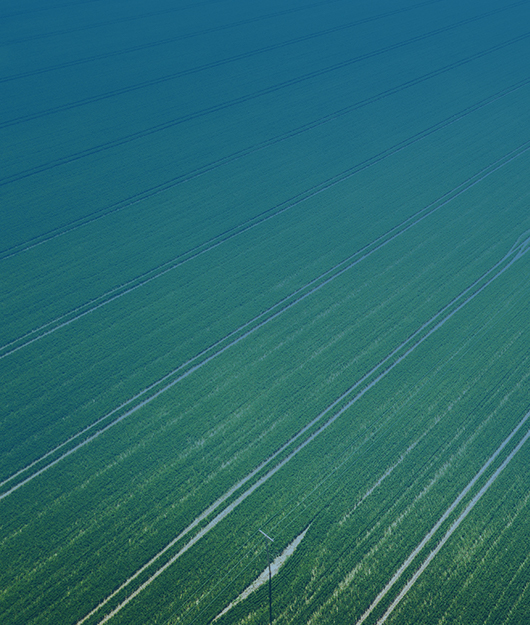 肥料養(yǎng)分檢測儀為農(nóng)業(yè)生產(chǎn)提供技術(shù)指導(dǎo)